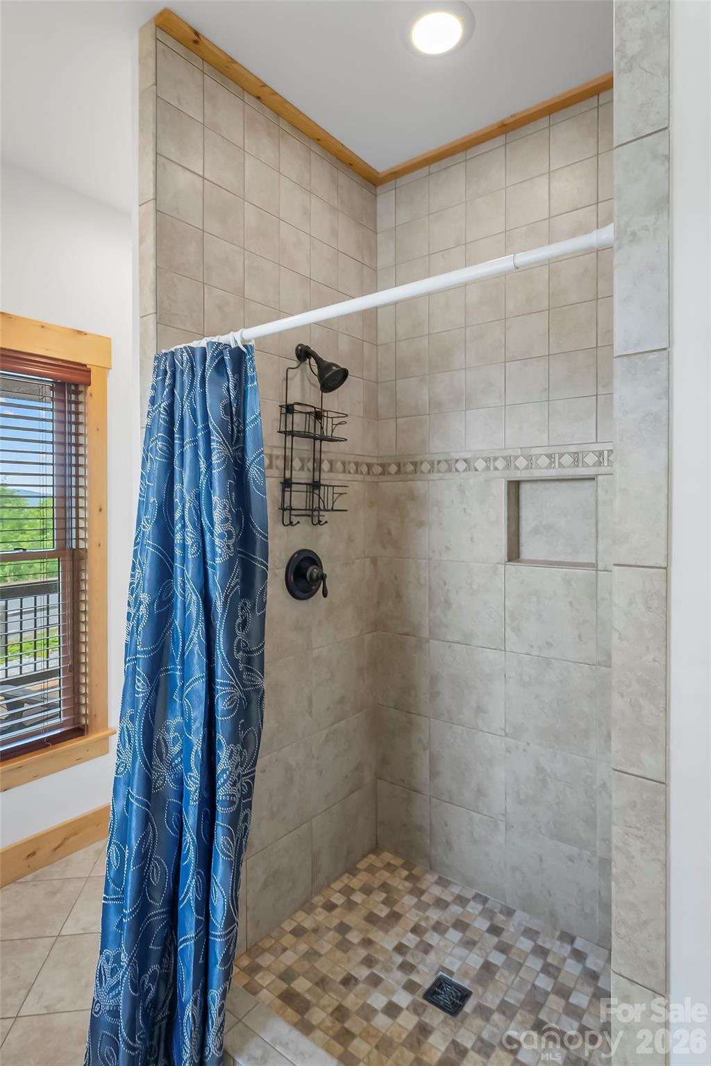 122 Azule Ridge Drive Bostic, NC 28018 - Photo 21 of 48