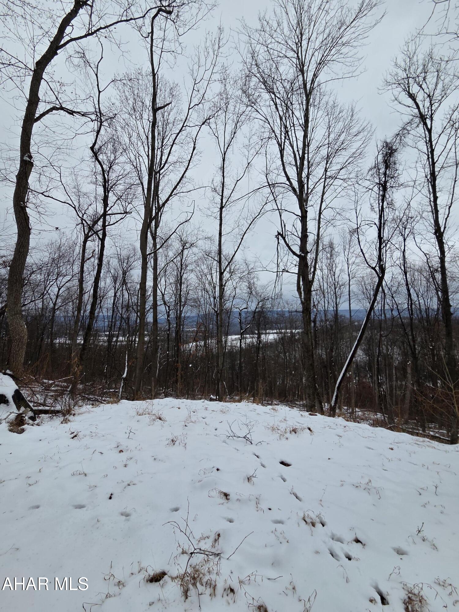 0 Sugar Ridge Road McVeytown, PA 17051 - Photo 12 of 12