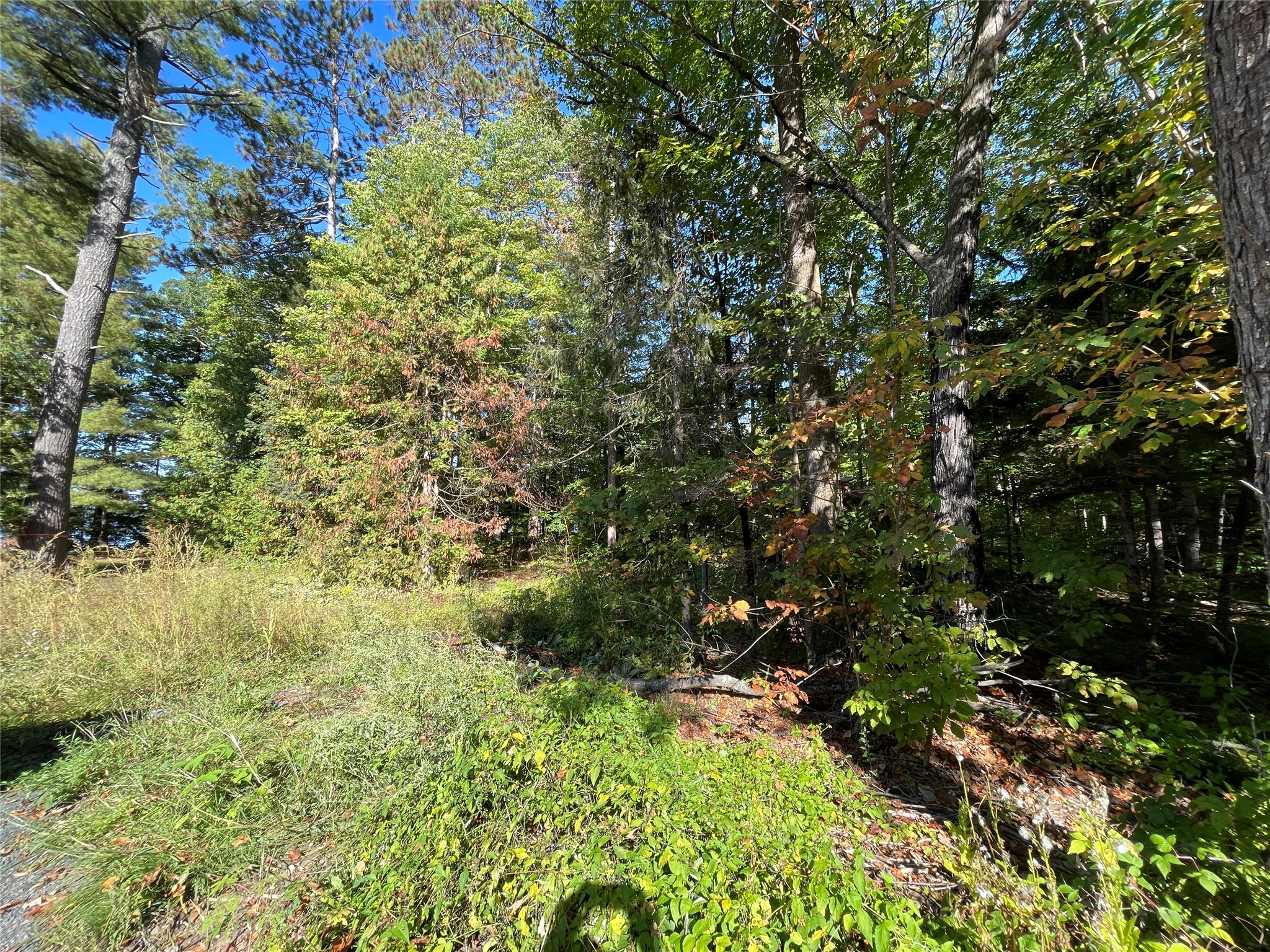 6073 North Elsie Road Stone Lake, WI 54876 - Photo 12 of 42