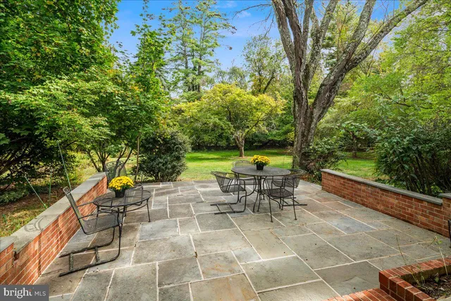 a view of a yard with a tree