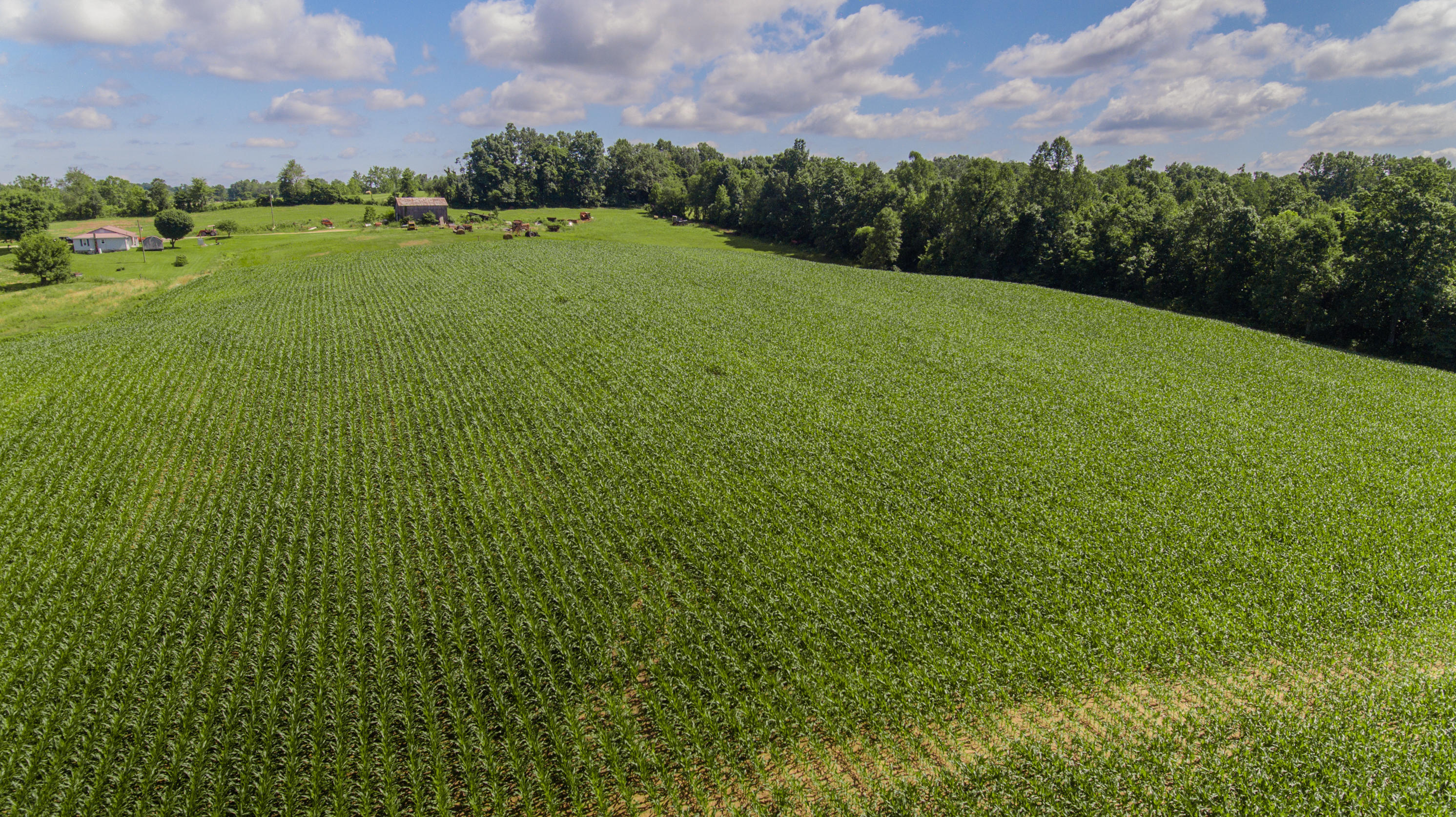 2253 Cemetery Road Waynesburg, KY 40489 - Photo 21 of 28 Zimmerman Land-23