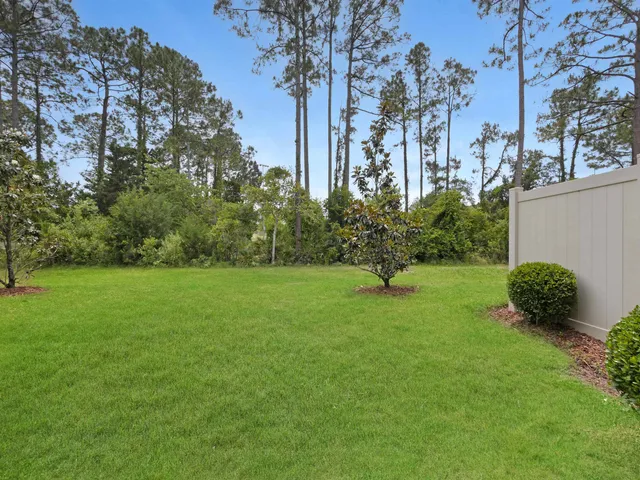 a view of a garden with plants and large trees