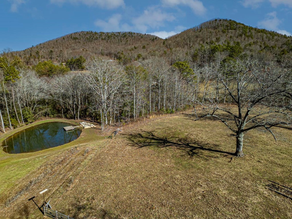 134 Colwell Church Road Epworth, GA 30541 - Photo 14 of 74 Gallery Image 14