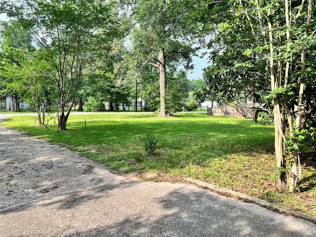 a view of a park with large trees