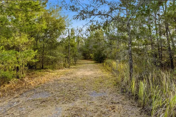 $220,000 | 0 Backwoods Way, Brooksville, FL 34614