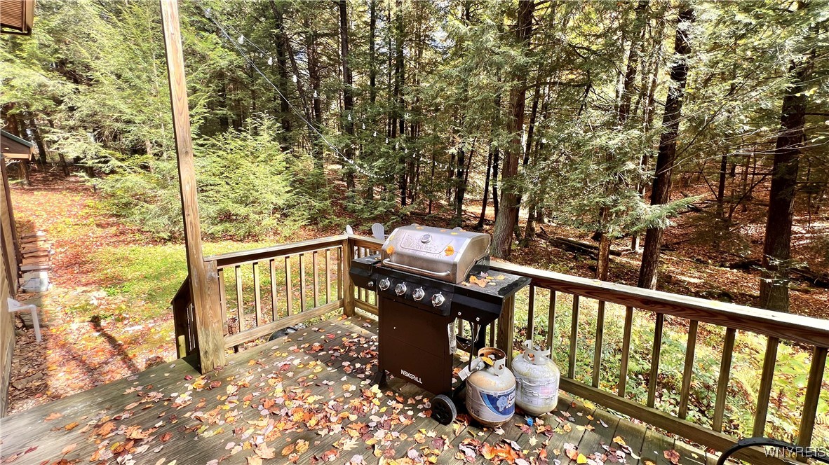 3662 Forest Hill Road Great Valley, NY 14748 - Photo 34 of 43