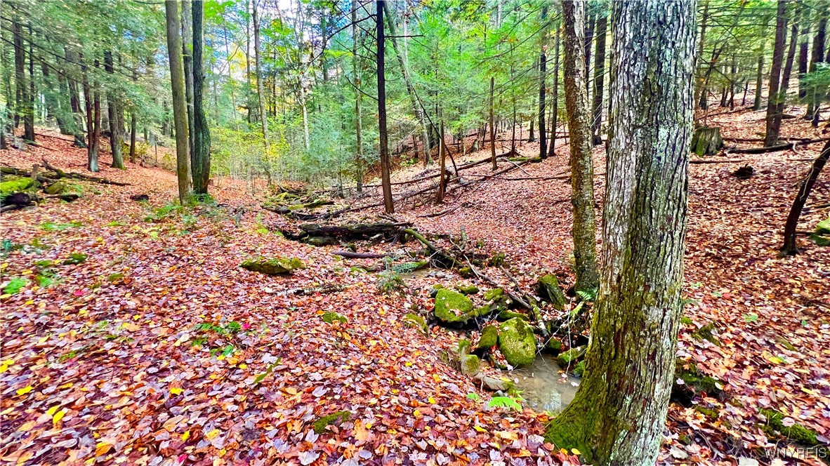 3662 Forest Hill Road Great Valley, NY 14748 - Photo 36 of 43