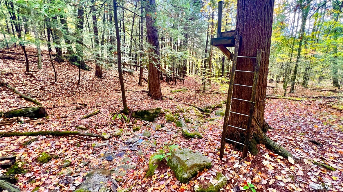 3662 Forest Hill Road Great Valley, NY 14748 - Photo 37 of 43