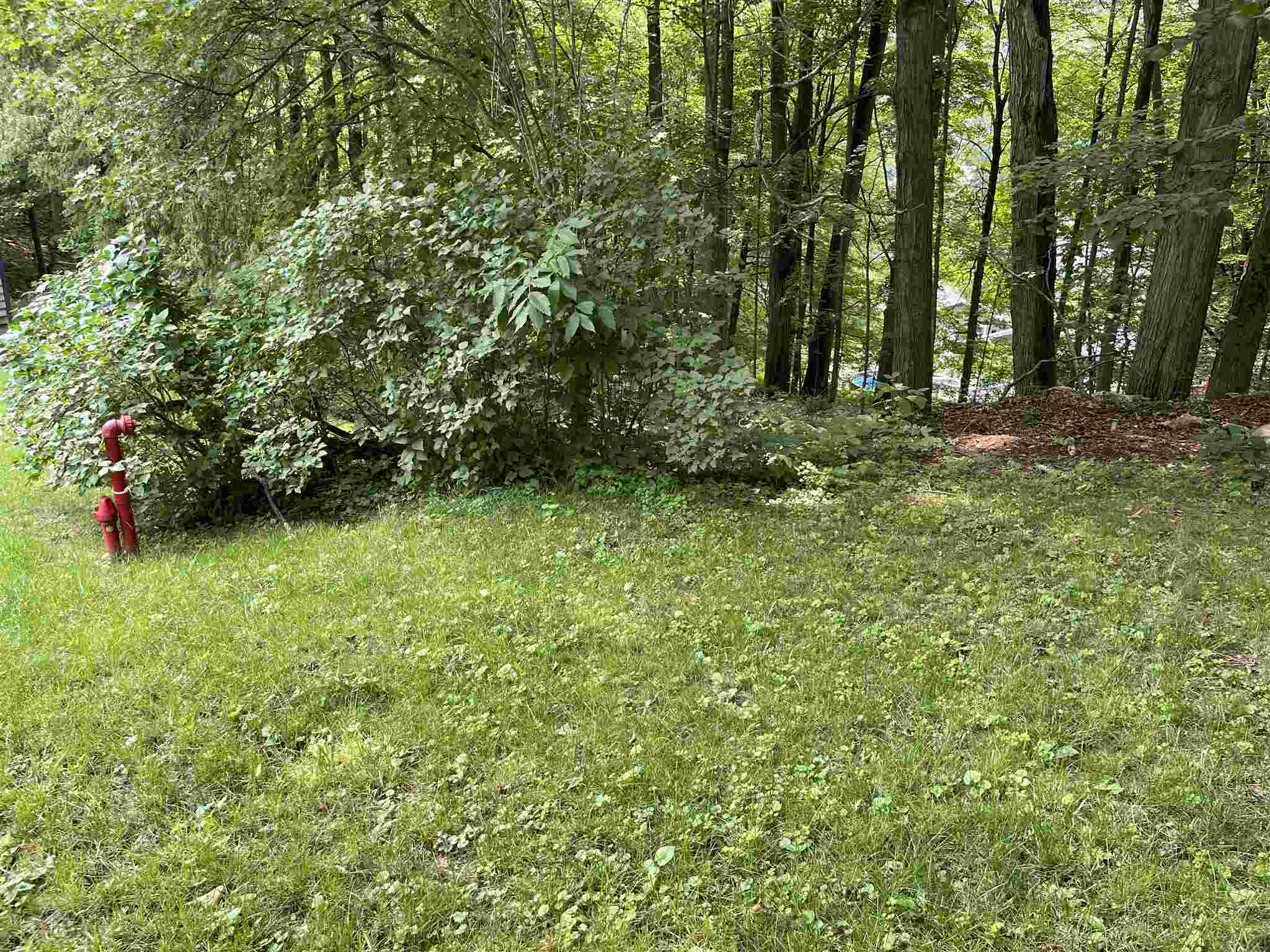 15 Bluff Street Proctor, VT 05765 - Photo 20 of 25