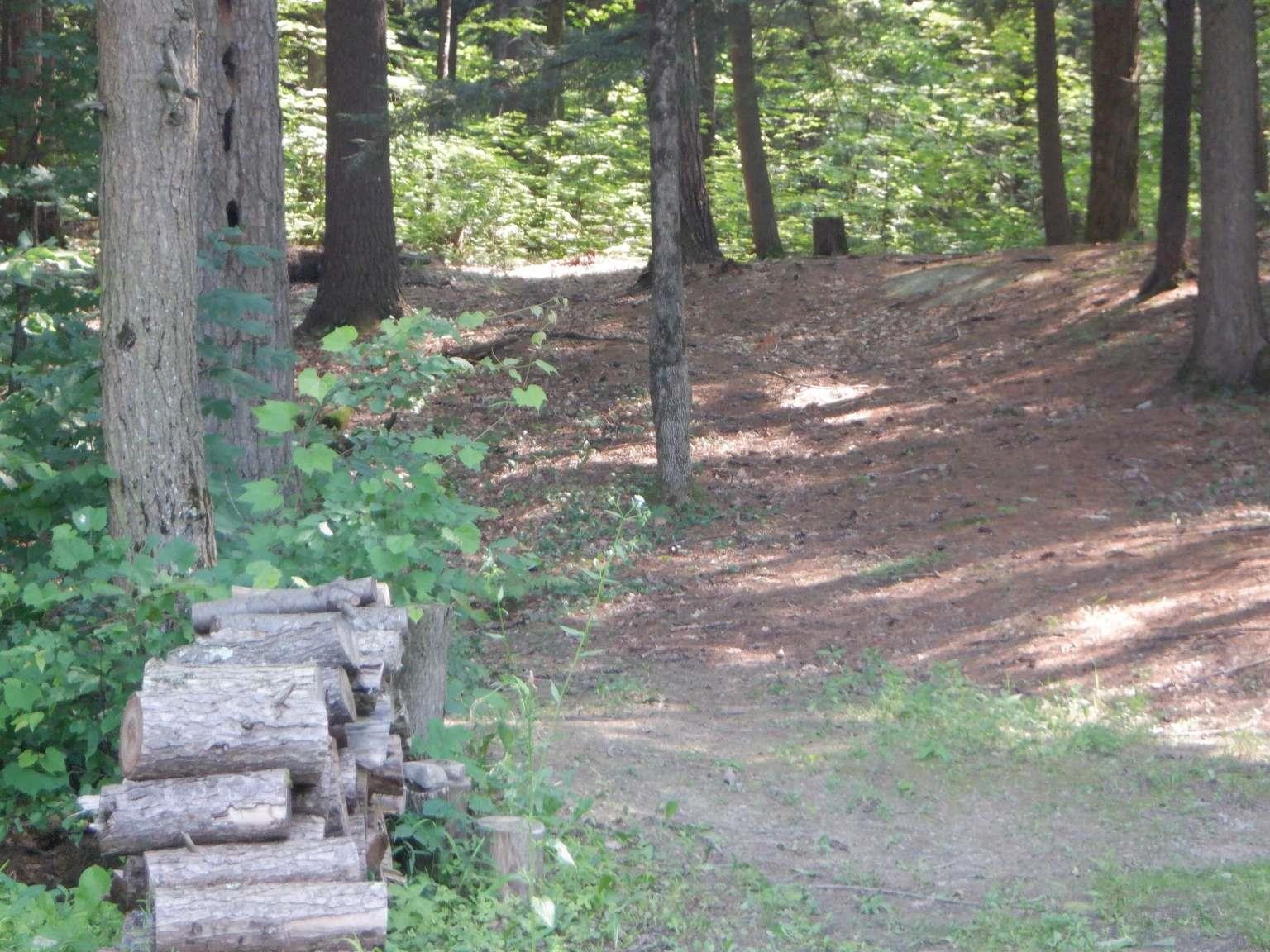 731 Howard Hill Road Benson, VT 05743 - Photo 7 of 18