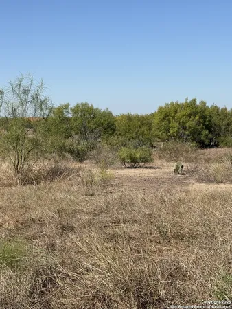 a view of a field with trees in background