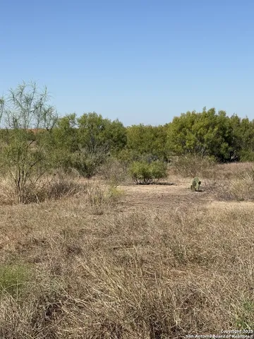 a view of a field with trees in background