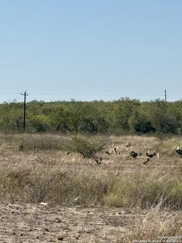 a view of a field with trees in background