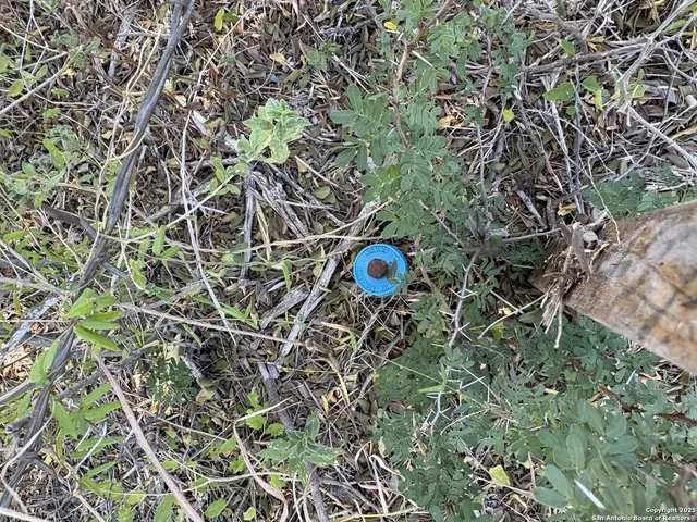 $125,900 | 1446 County Road 332, Charlotte, TX 78011