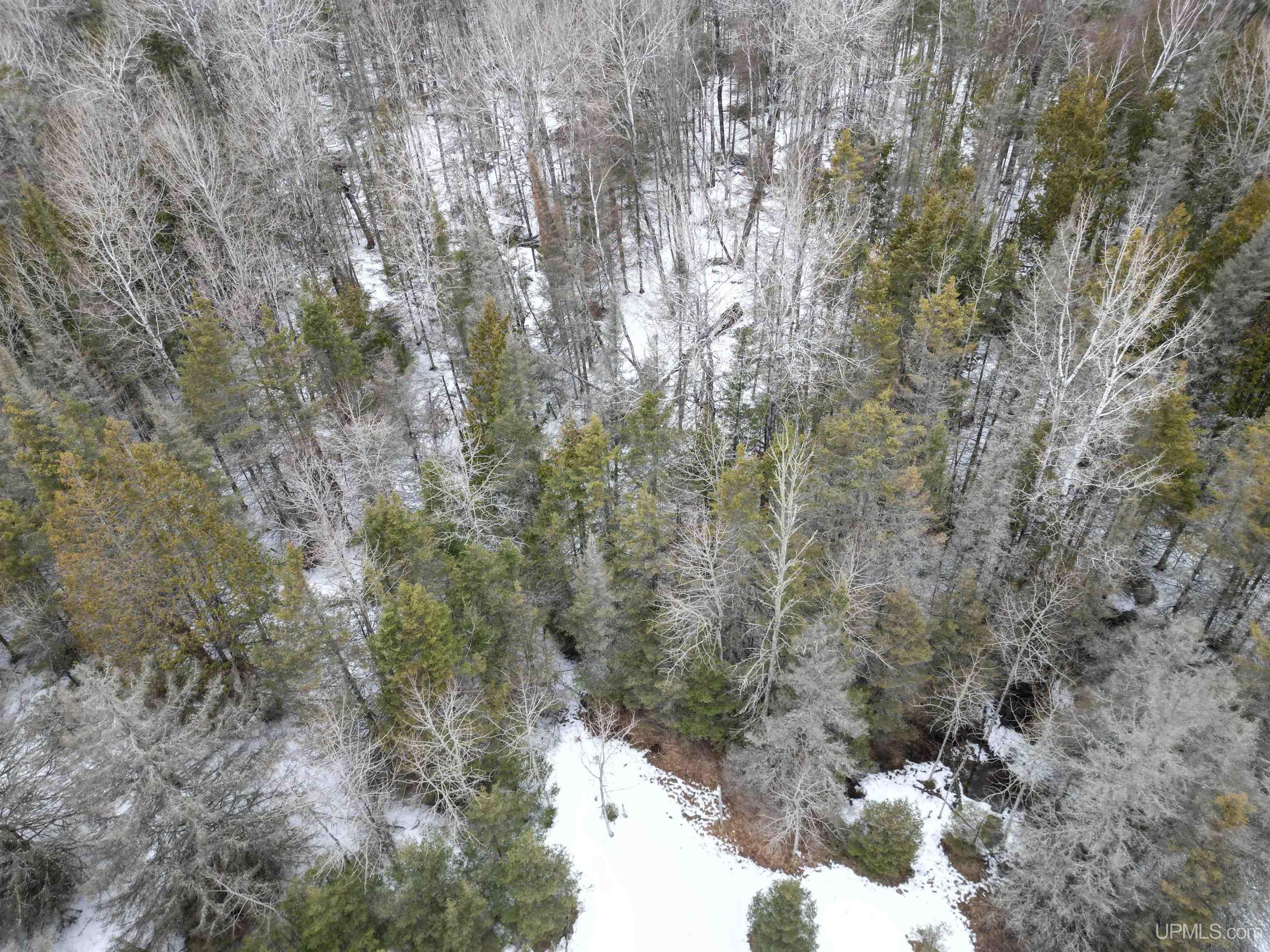 11128 Co Road Rapid River, MI 49878 - Photo 21 of 97