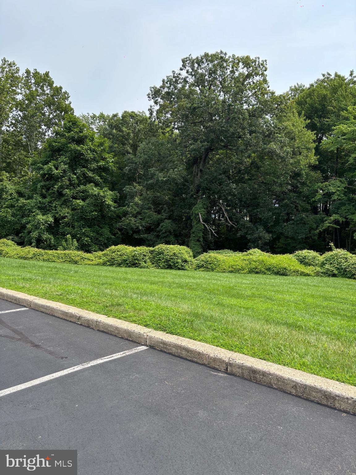 515 North York Road, Unit 11F Willow Grove, PA 19090 - Photo 4 of 22 Gallery Image 4