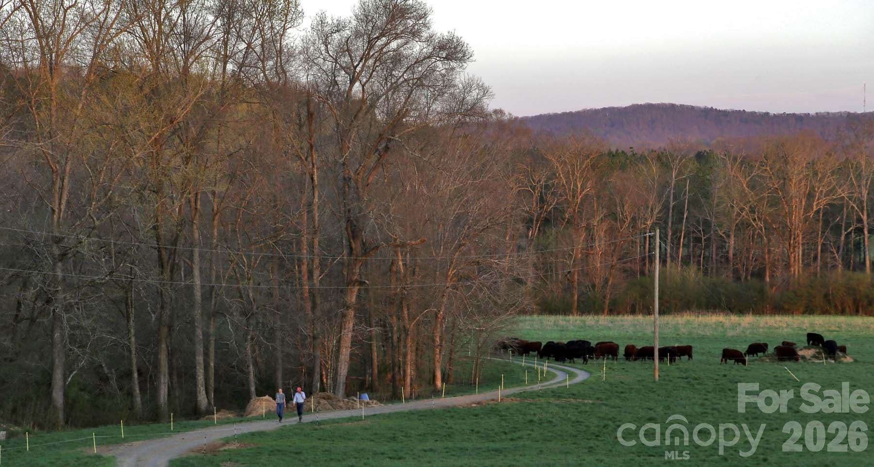 3175 Trotter Road Asheboro, NC 27205 - Photo 48 of 48