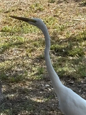 $399,000 | 105 Shadow Moss Lane, Rockport, TX 78382