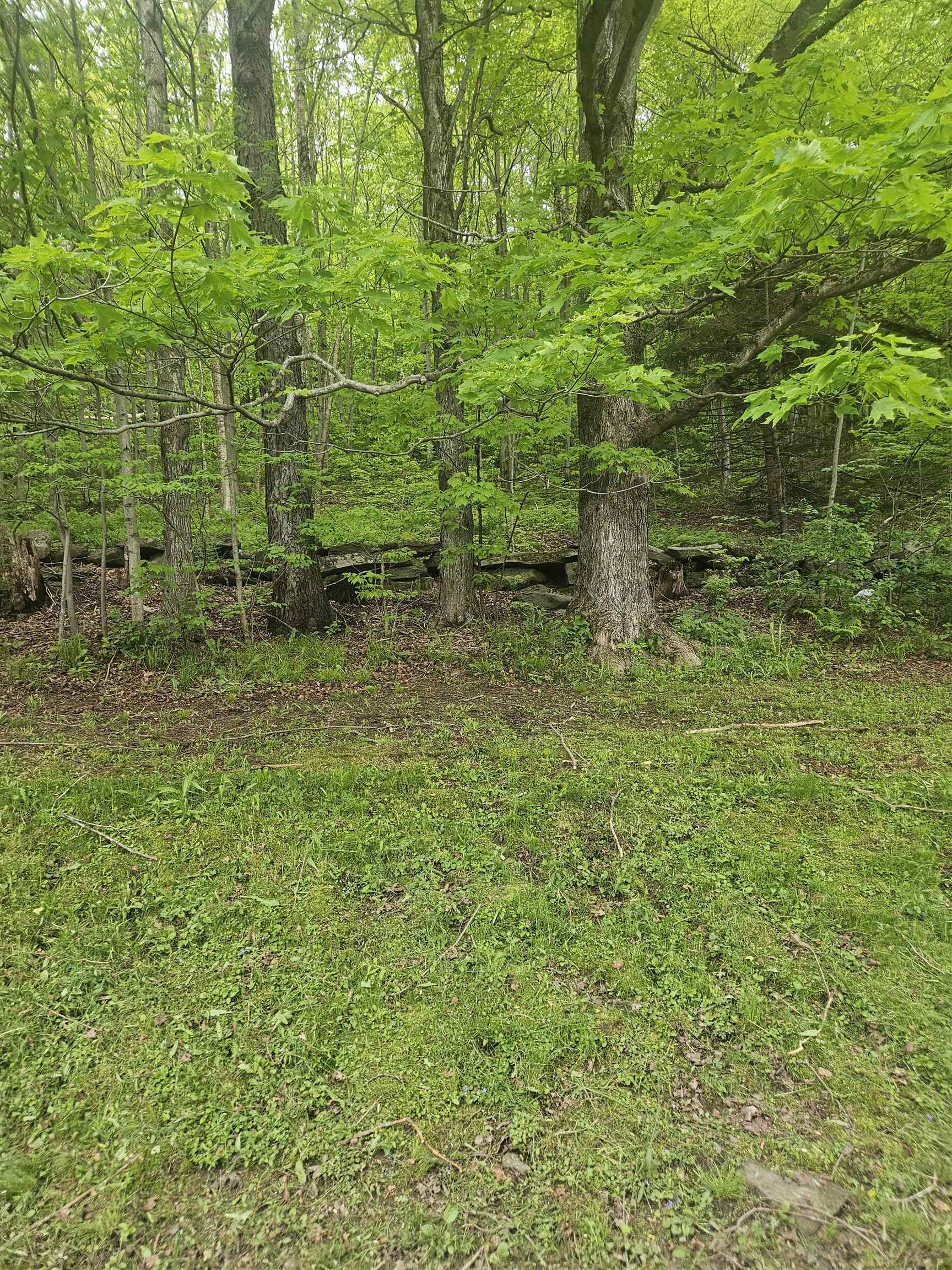 247 Vermont Rte 100 Wilmington, VT 05363 - Photo 25 of 42