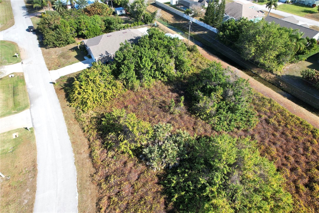 106 Tracy Drive Sebastian, FL 32958 - Photo 5 of 35 a view of a garden with plants