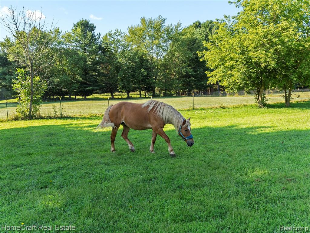 6211 Nollar Road Whitmore Lake, MI 48189 - Photo 46 of 48 Gallery Image 46