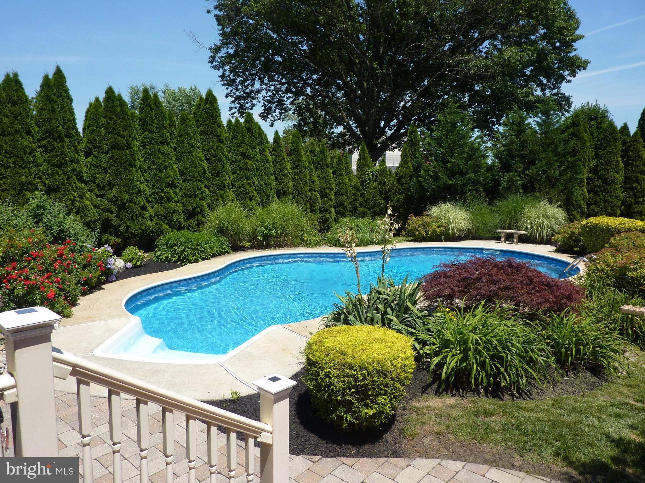 10919 Knights Road Philadelphia, PA 19154 - Photo 5 of 41 Inground Pool
