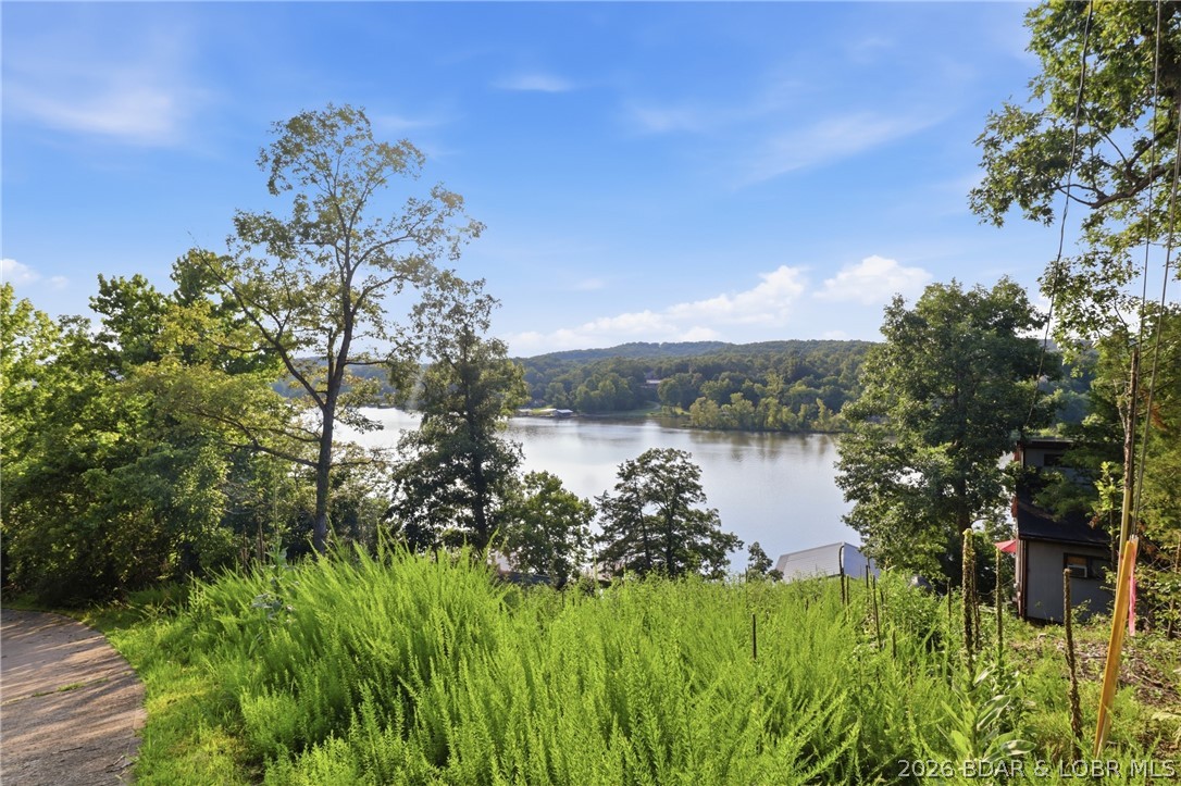 Lot 1 Poco Risco Lane Roach, MO 65787 - Photo 11 of 12