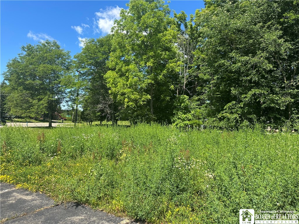 620 Fairmount Avenue Ellicott, NY 14701 - Photo 9 of 10