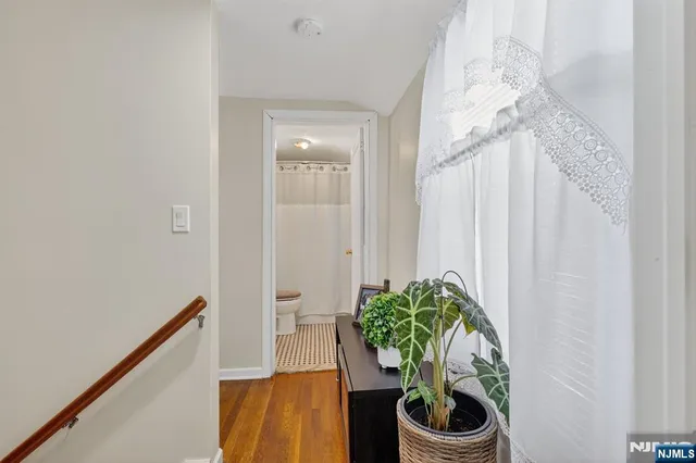 a room with a rug and a potted plant