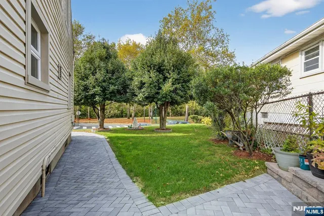 a view of a yard with plants and trees