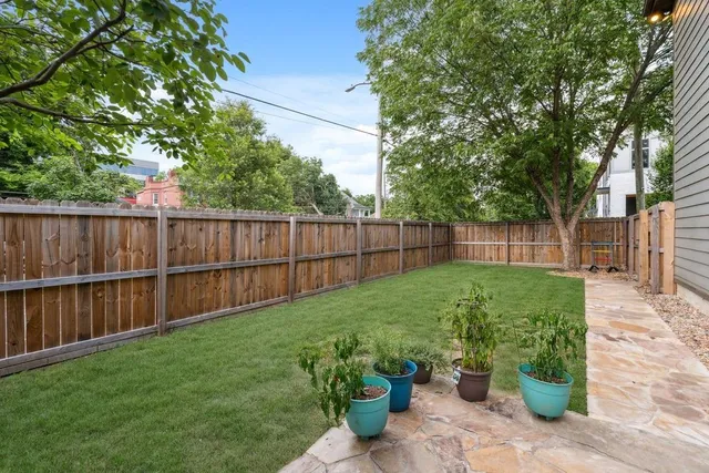 a view of a backyard with a garden and plants