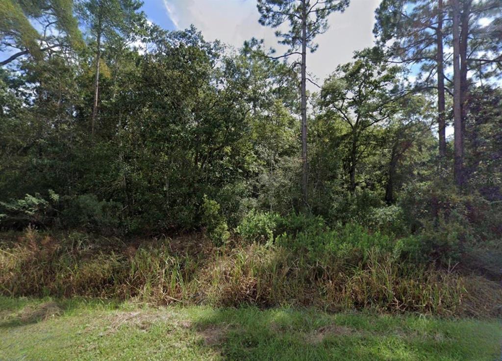 Bottoms Road Panacea, FL 32346 - Photo 2 of 2