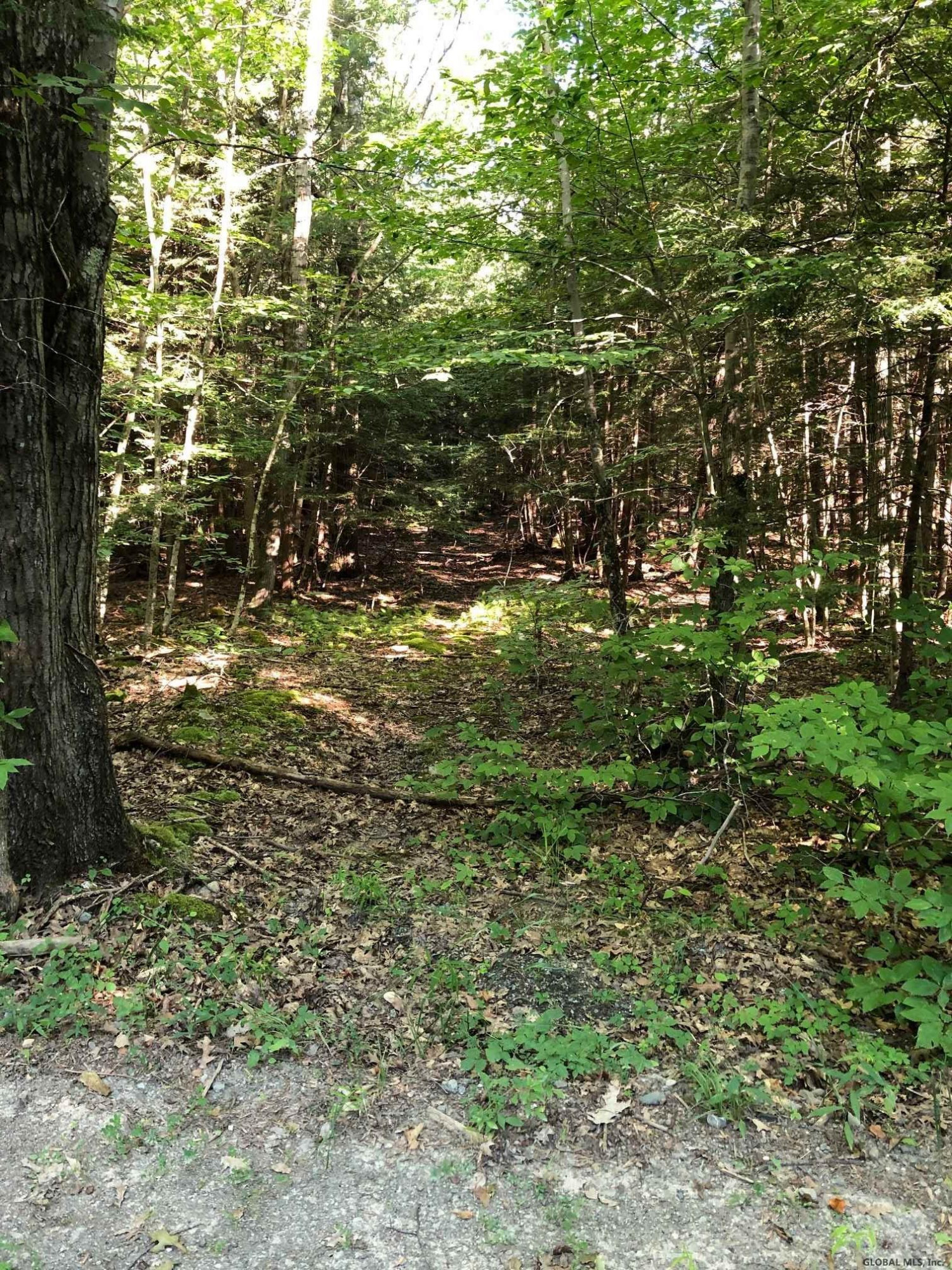 0 Fire Tower Road Petersburg, NY 12138 - Photo 2 of 11 Photo 2