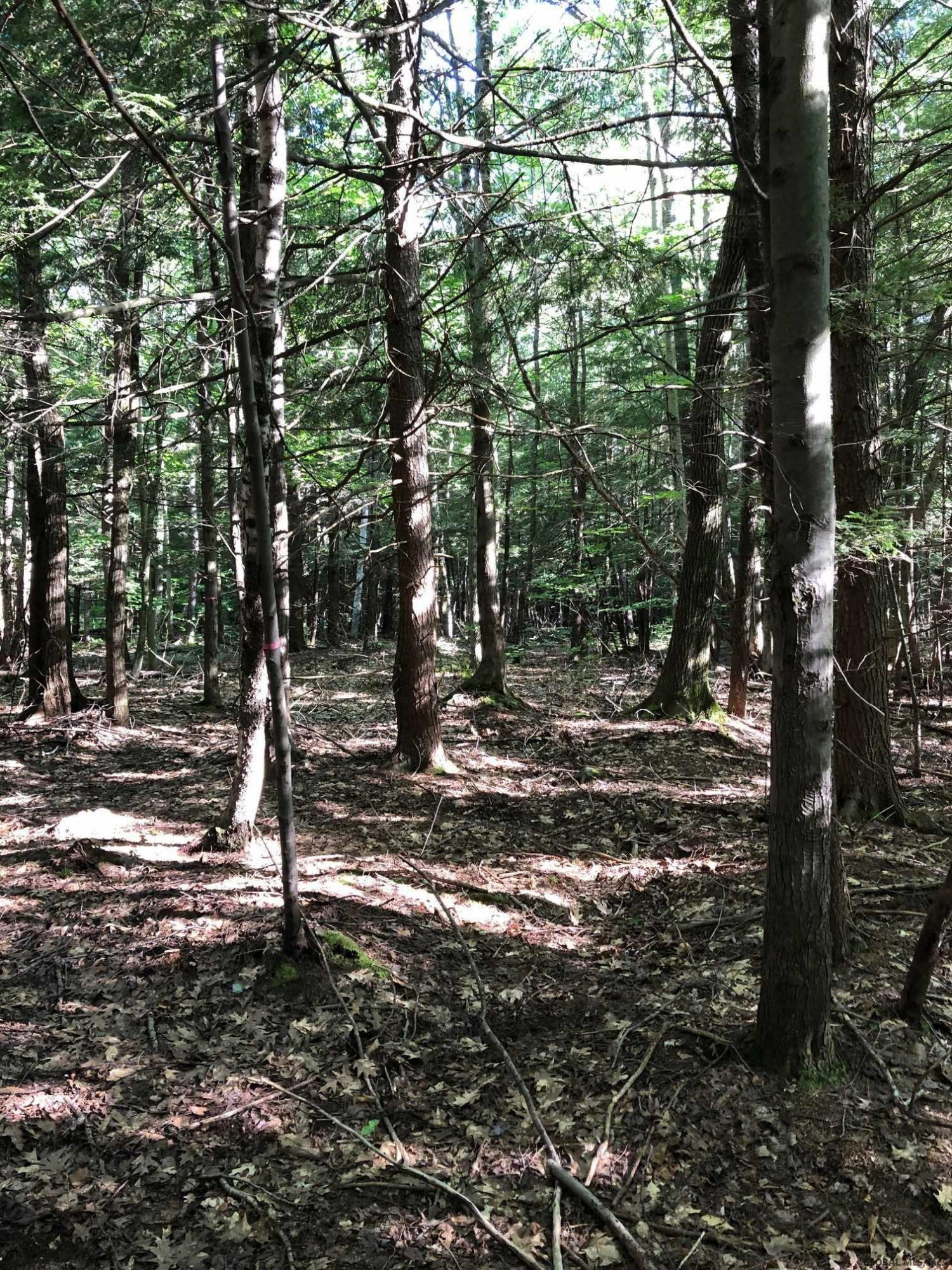 0 Fire Tower Road Petersburg, NY 12138 - Photo 3 of 11 Photo 3