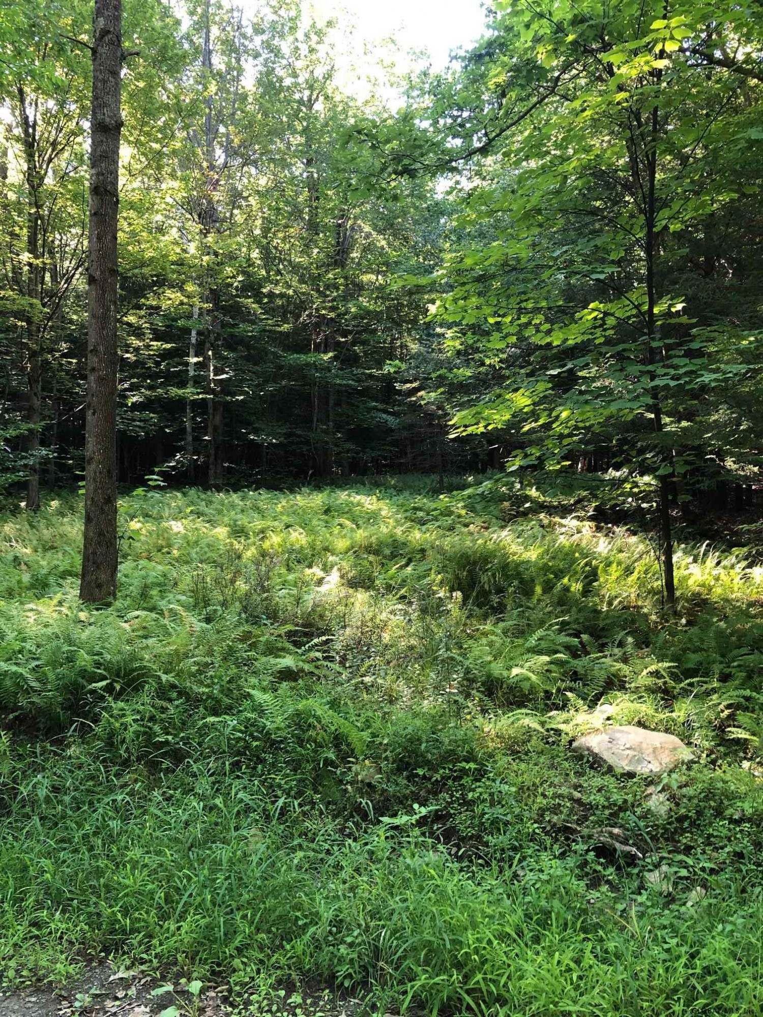 0 Fire Tower Road Petersburg, NY 12138 - Photo 4 of 11 Photo 4