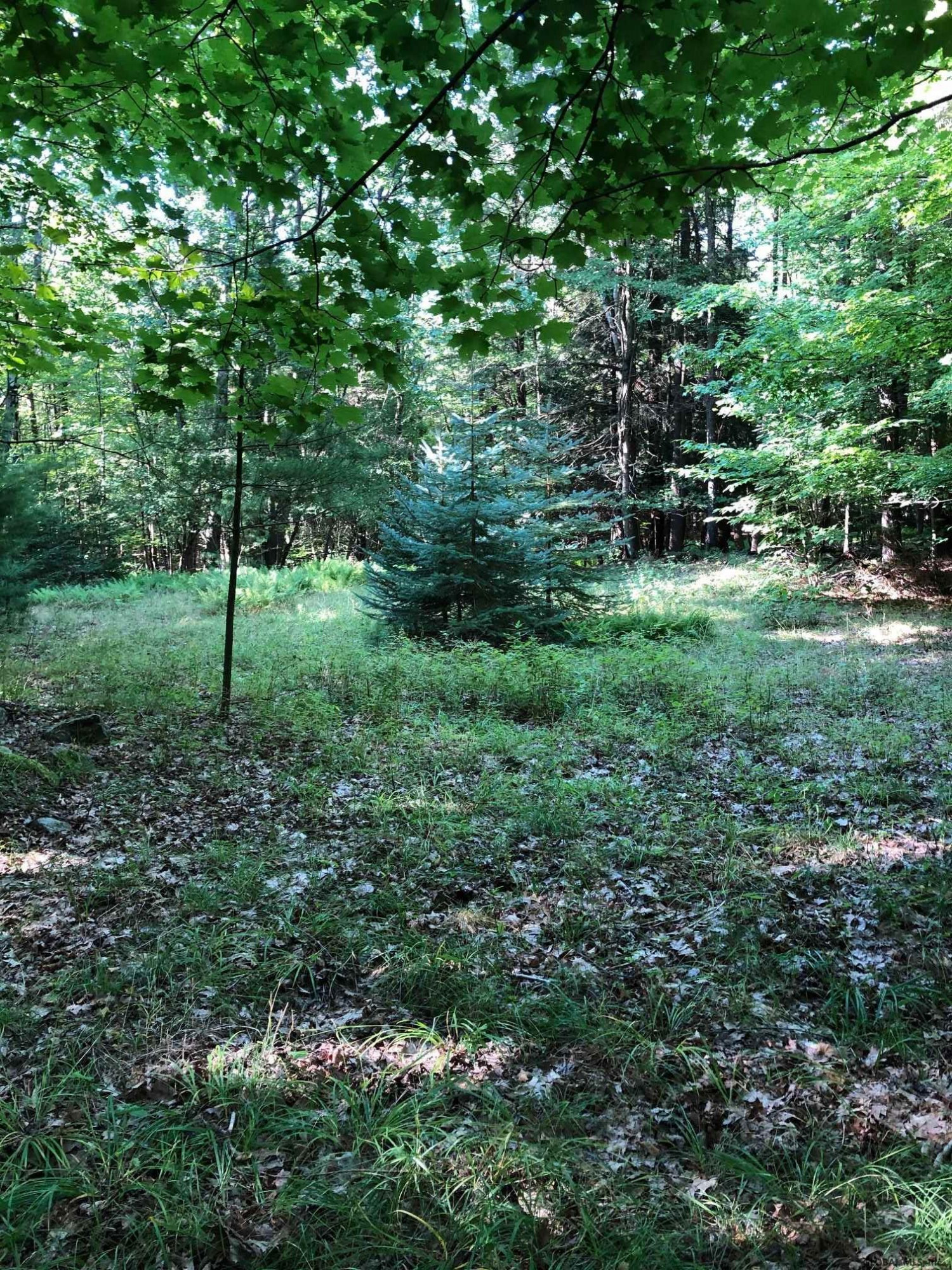 0 Fire Tower Road Petersburg, NY 12138 - Photo 5 of 11 Photo 5