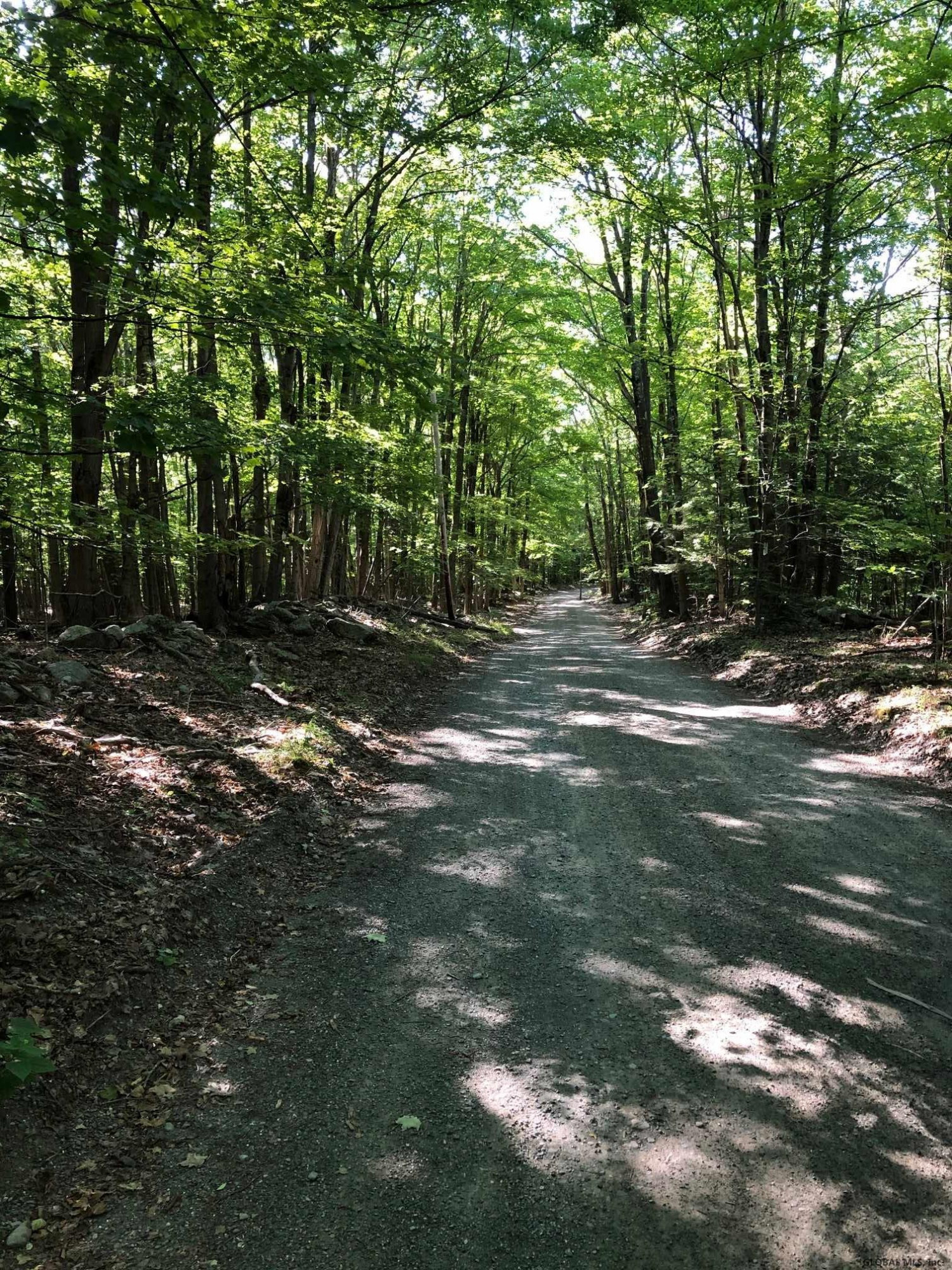 0 Fire Tower Road Petersburg, NY 12138 - Photo 6 of 11 Photo 6
