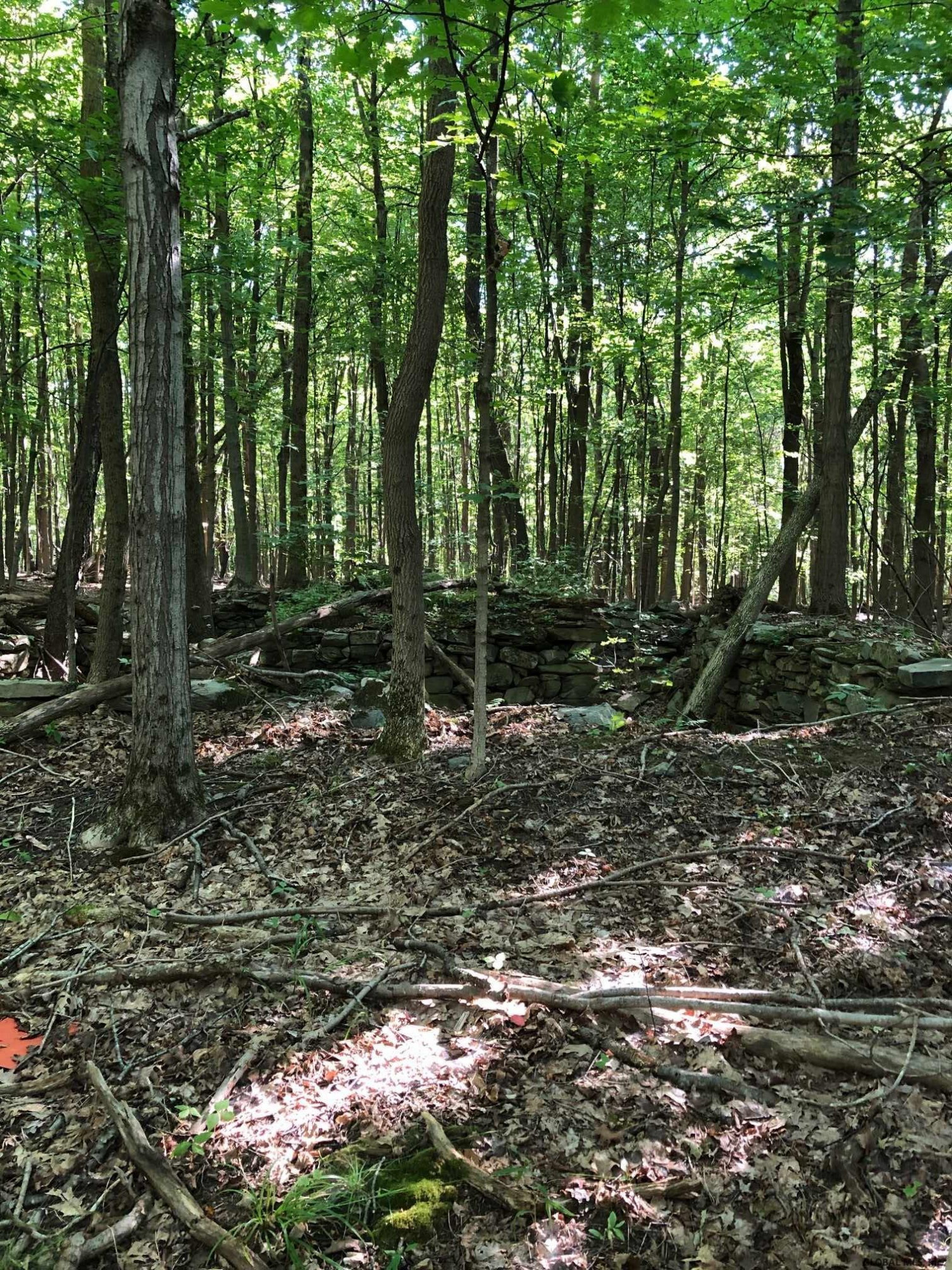 0 Fire Tower Road Petersburg, NY 12138 - Photo 7 of 11 Photo 7