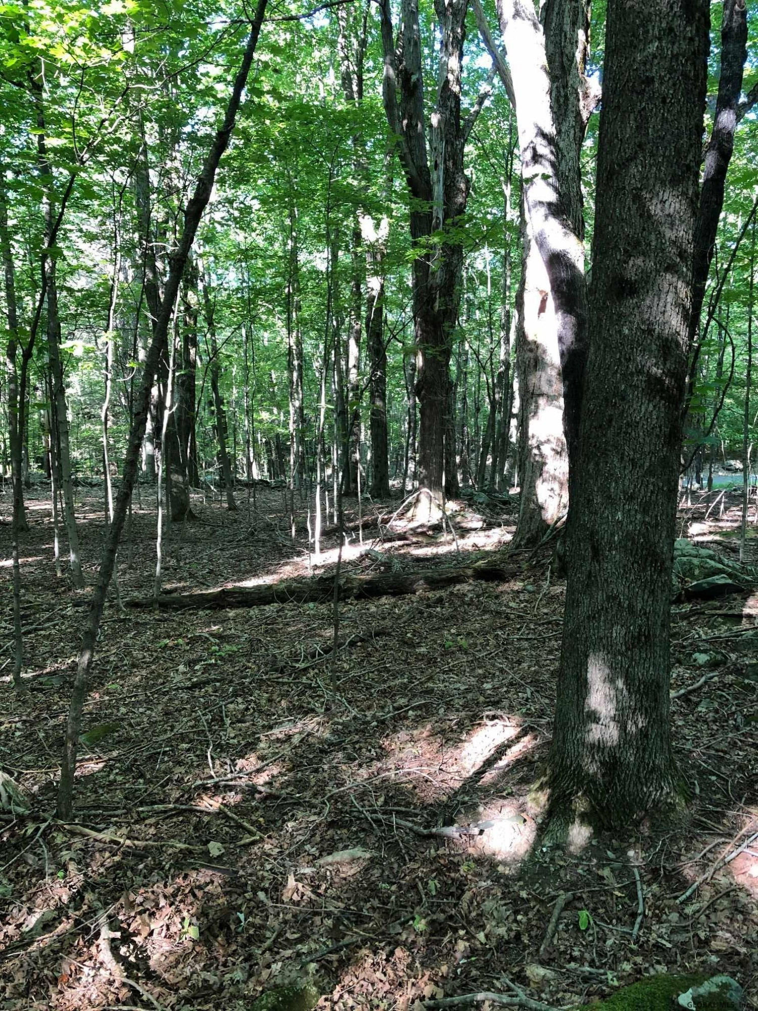 0 Fire Tower Road Petersburg, NY 12138 - Photo 8 of 11 Photo 8