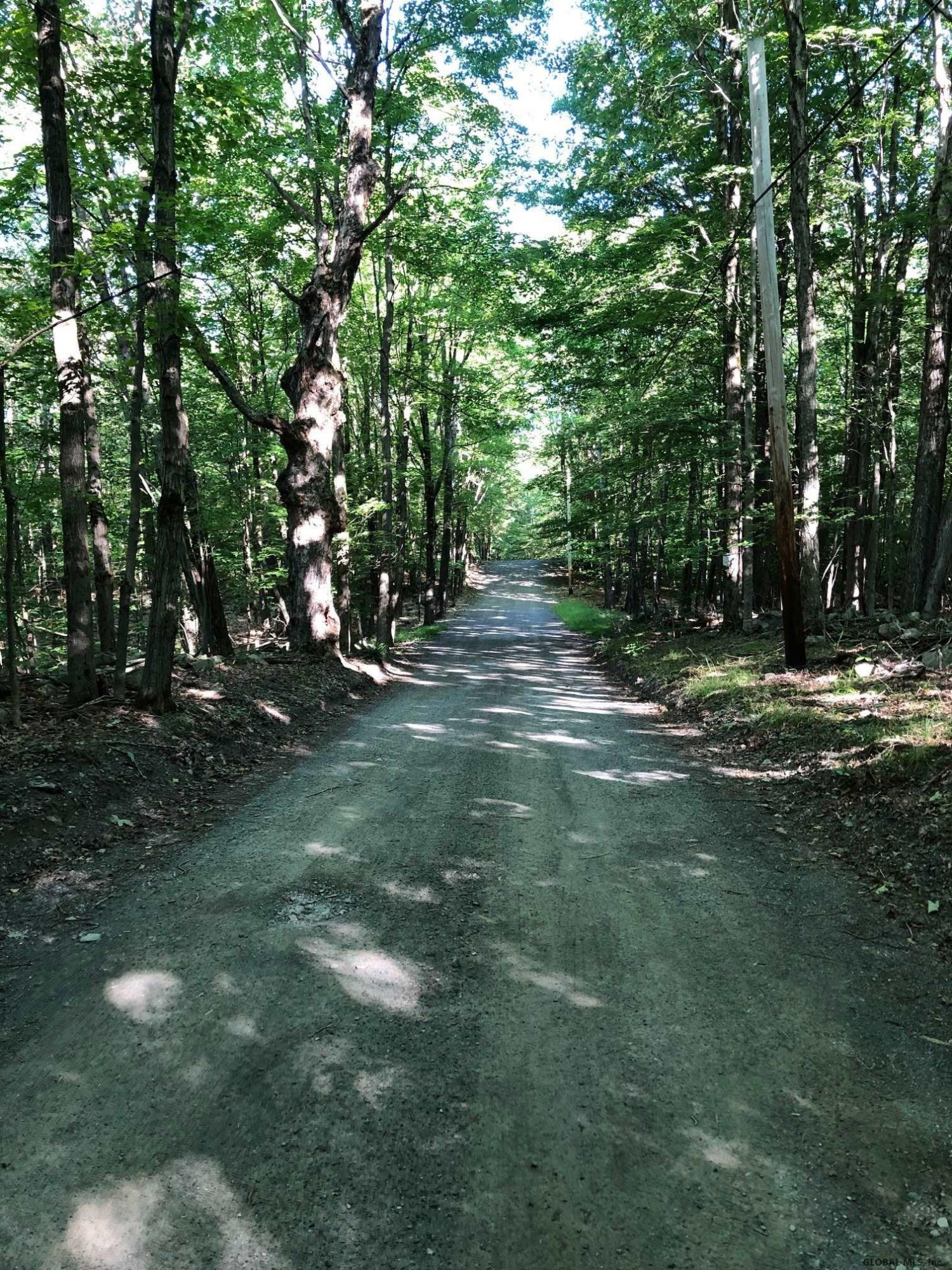 0 Fire Tower Road Petersburg, NY 12138 - Photo 10 of 11 Photo 10