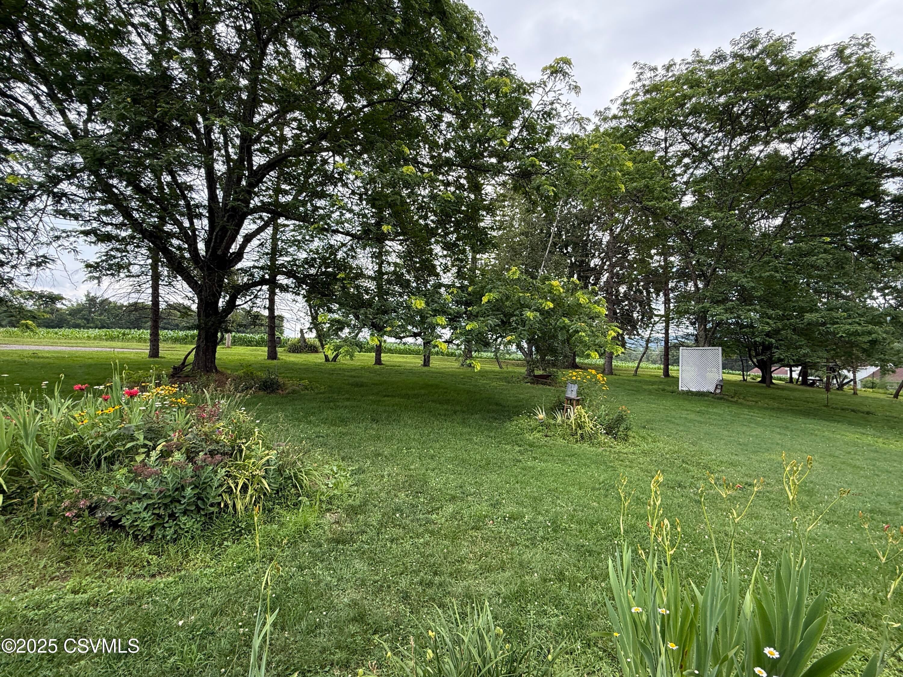 25 Wolfe Road Nescopeck, PA 18635 - Photo 11 of 26 Yard View