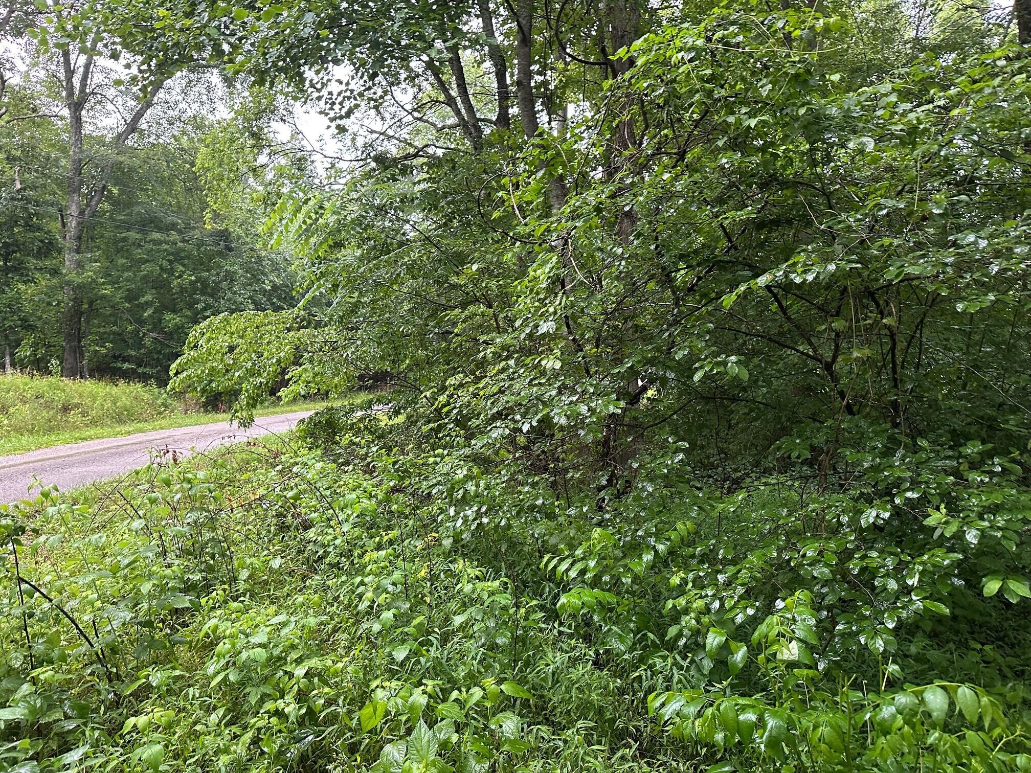 Lot 3 Sawmill Road, Unit LOT 3 Palmer, TN 37365 - Photo 4 of 5 4