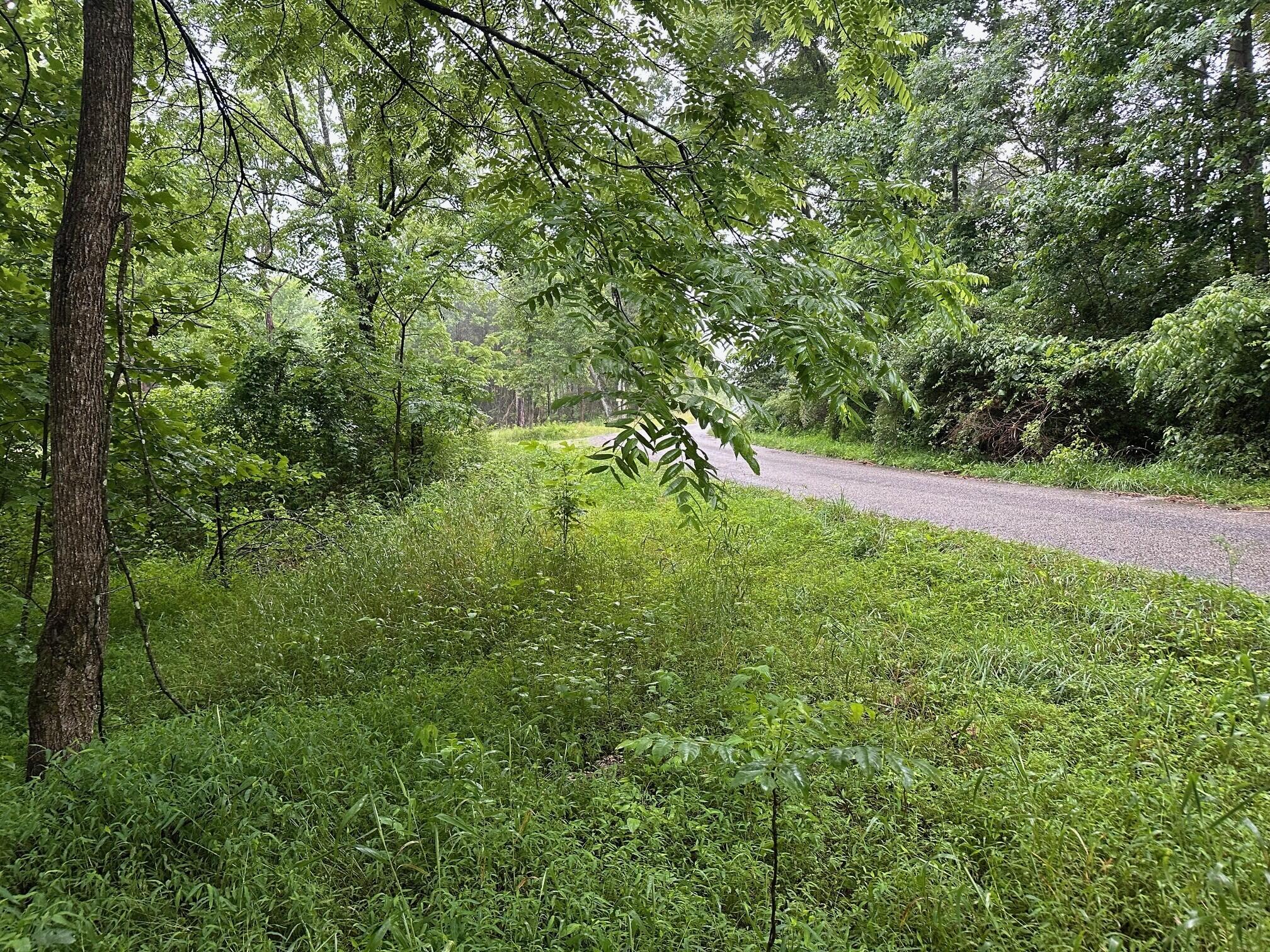 Lot 3 Sawmill Road, Unit LOT 3 Palmer, TN 37365 - Photo 5 of 5 1