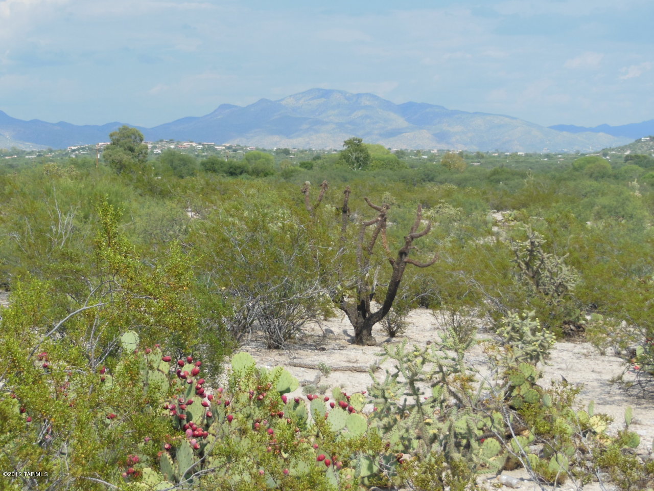 8451 East Cloud Road, Unit A Tucson, AZ 85750 - Photo 3 of 17