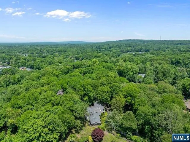 an aerial view of a city with lots of green space