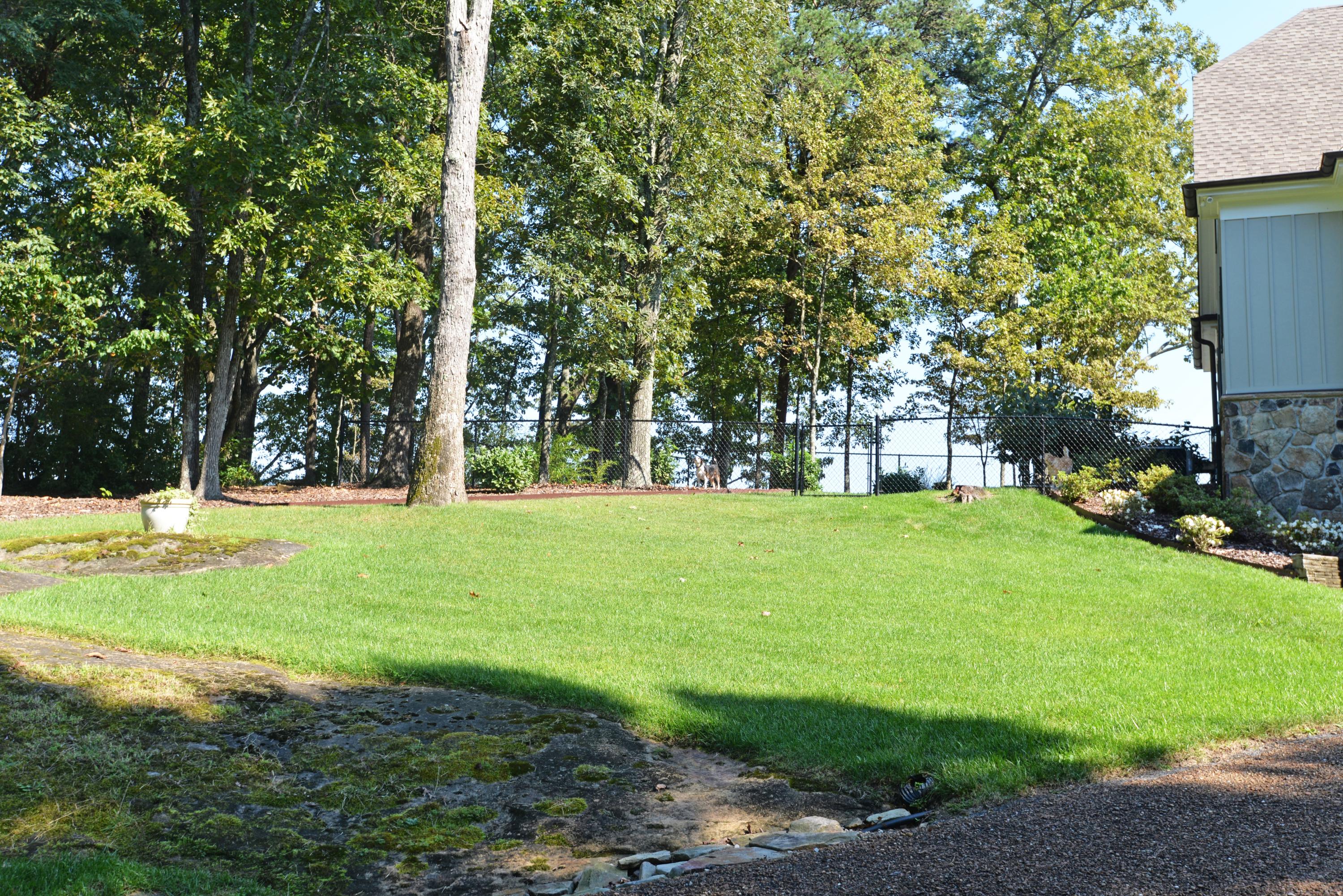 1012 Cumberland Road Chattanooga, TN 37419 - Photo 49 of 52 Side yard and kennel - med