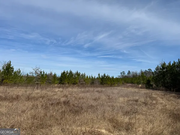 a view of a field with trees in background