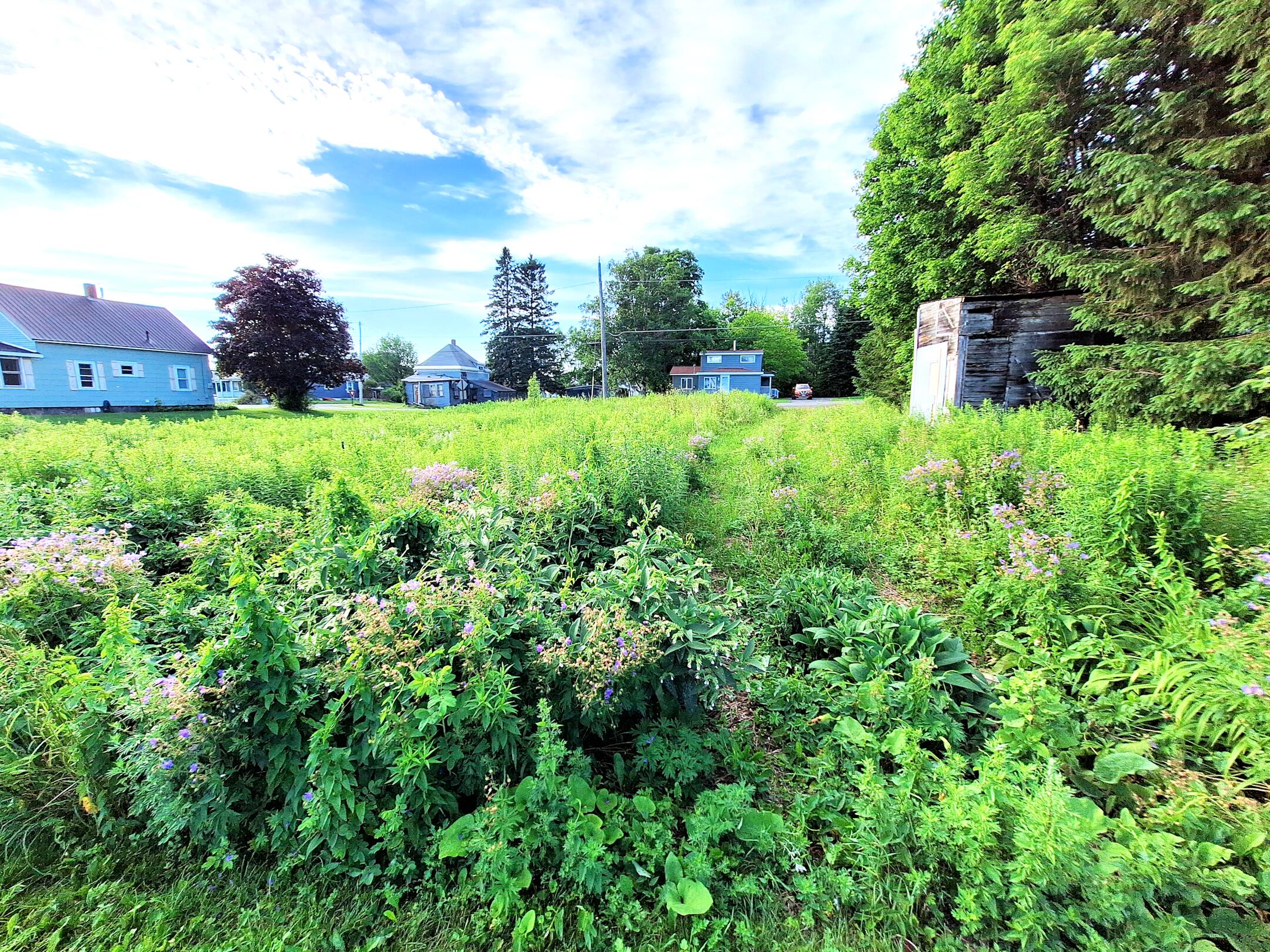 11 Gilman Street Mars Hill, ME 04758 - Photo 3 of 7 1 11 Gilman Street 1b