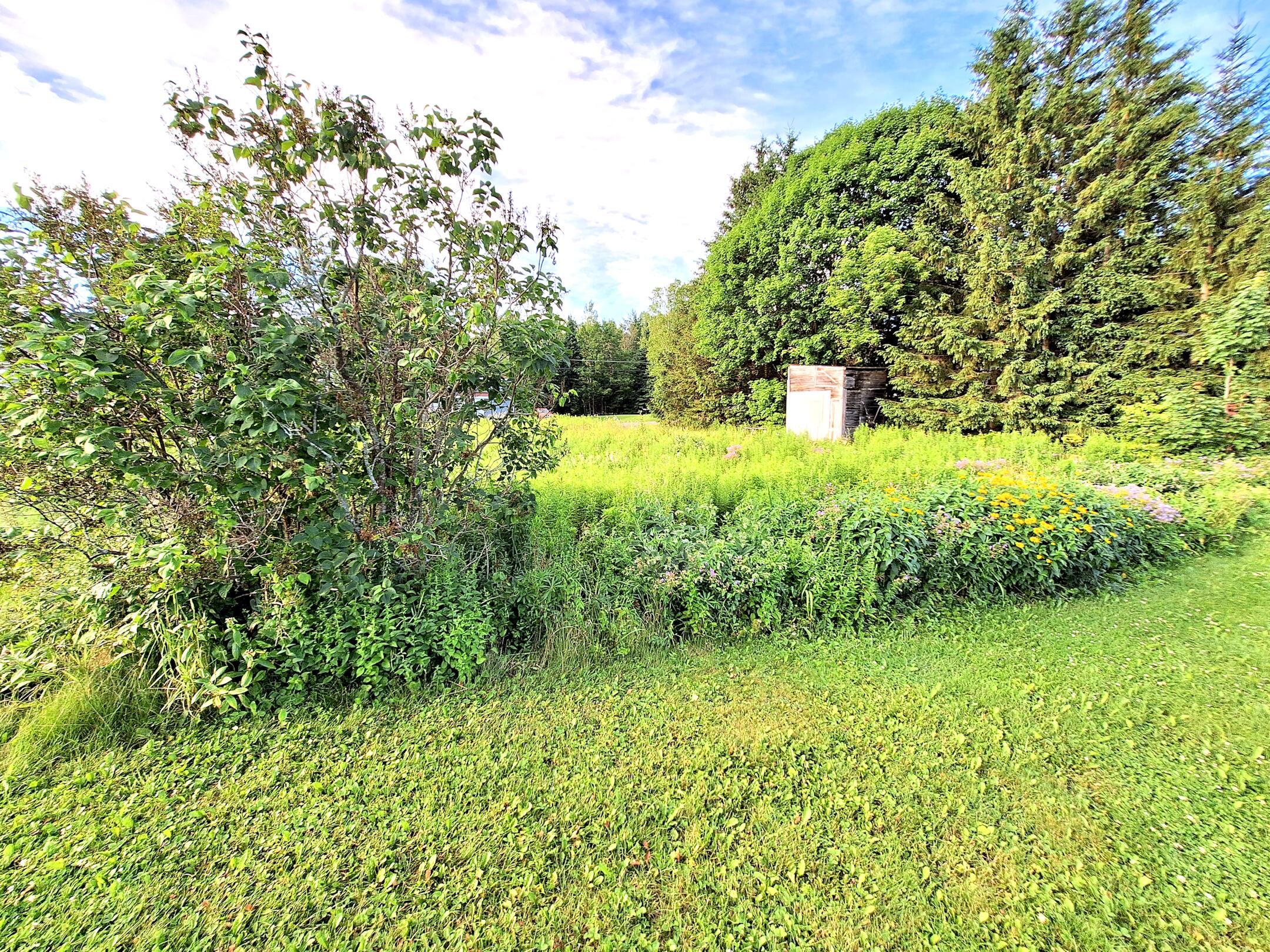 11 Gilman Street Mars Hill, ME 04758 - Photo 4 of 7 1 11 Gilman Street 1c