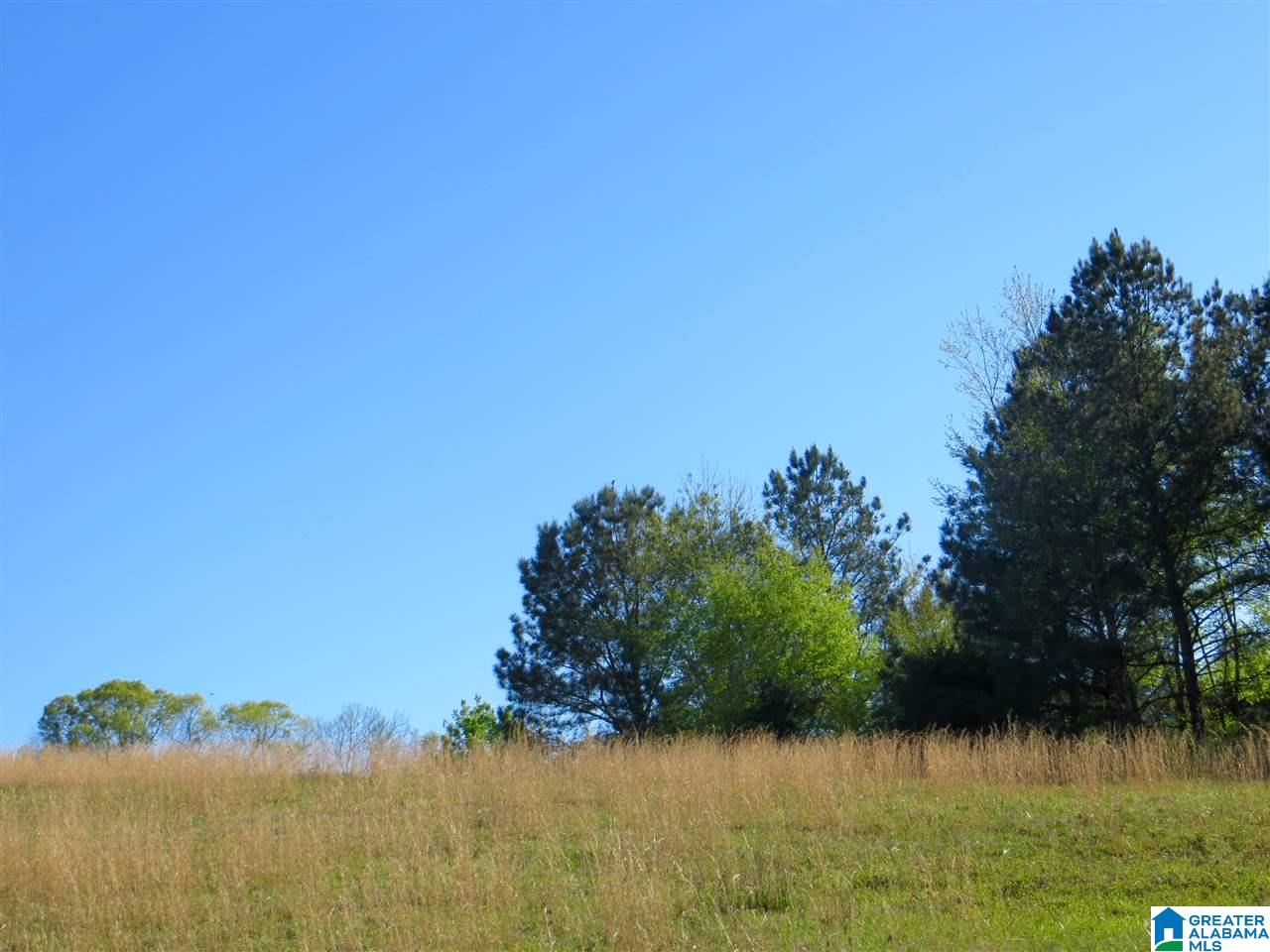 0 Eureka Road, Unit 7 Lincoln, AL 35096 - Photo 10 of 34